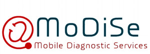 Modise logo copy