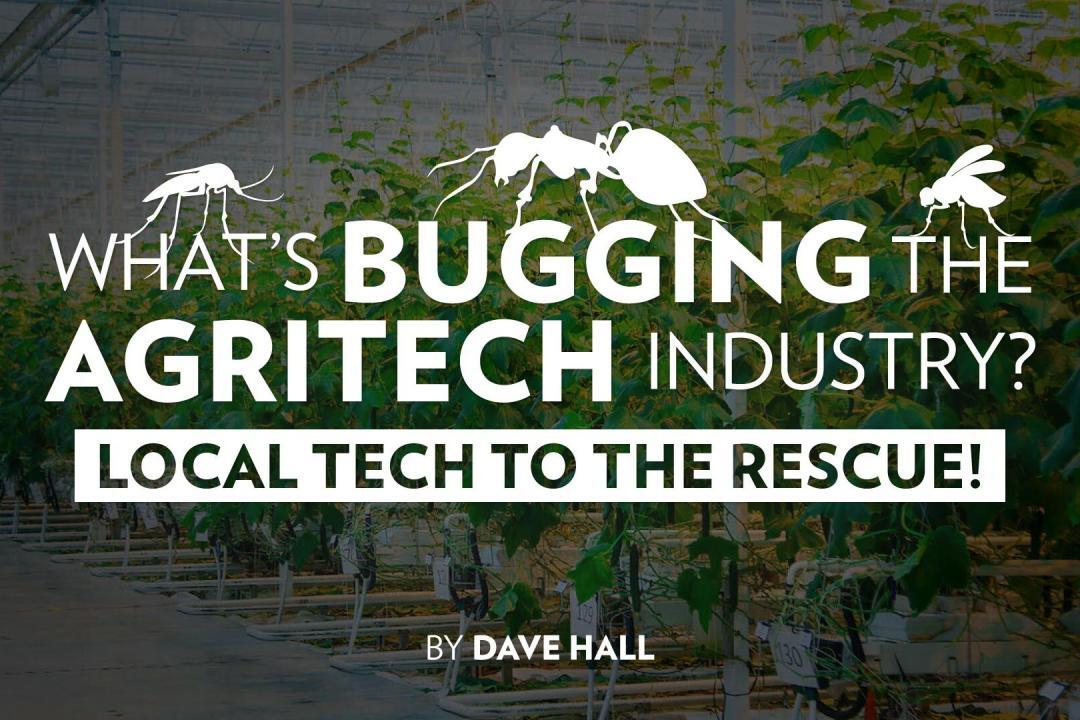 What’s Bugging the Agritech Industry? Local Tech to the Rescue!