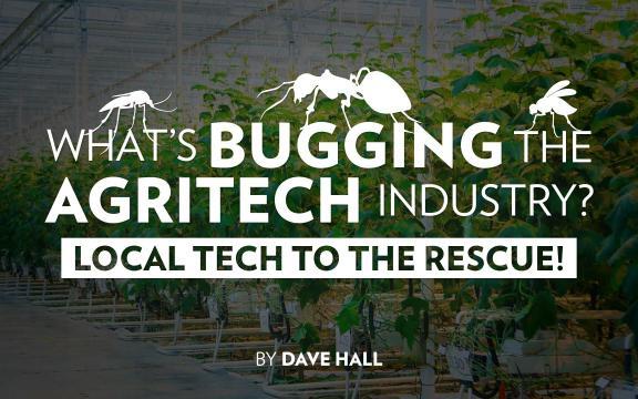 What’s Bugging the Agritech Industry? Local Tech to the Rescue!