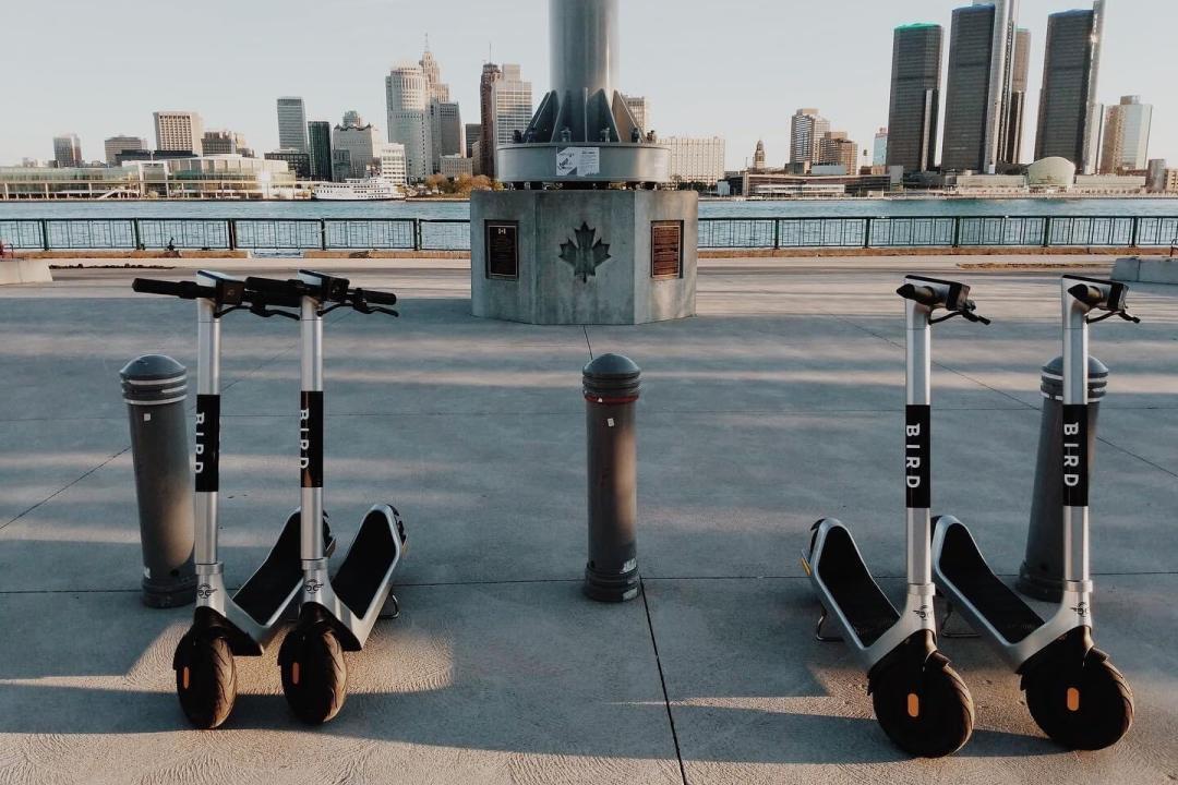 Bird e-Scooters Take Flight in Windsor