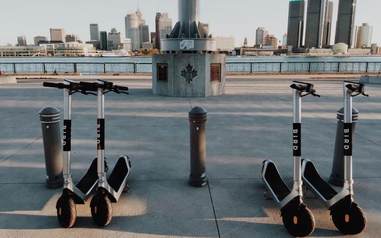 Bird e-Scooters Take Flight in Windsor