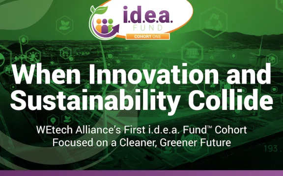 When Innovation and Sustainability Collide