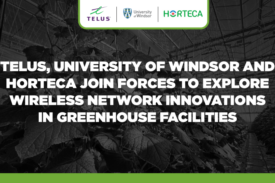 TELUS, University of Windsor and HORTECA join forces to explore wireless network innovations in greenhouse facilities