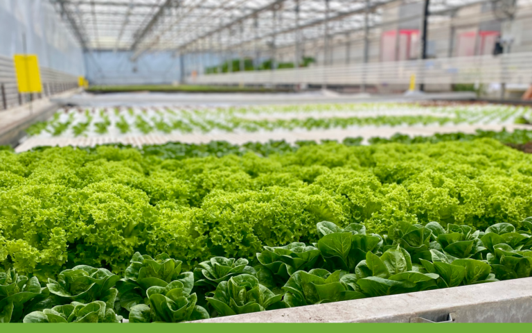 Rural Innovators Deserve Real Backing. Now They Have It.